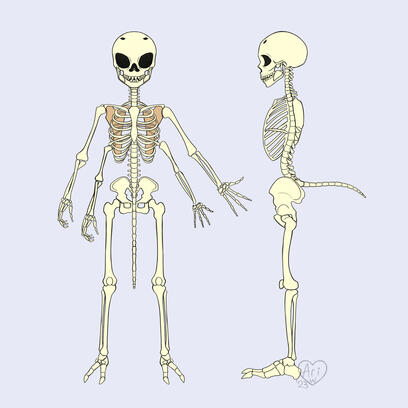 A Miinu&#39;s Bones