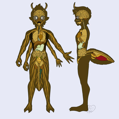 A Miinu's Internal Organs